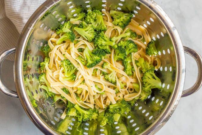 Cooked fettuccine noodles and broccoli in a colander